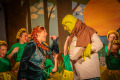 Shrek-152-low